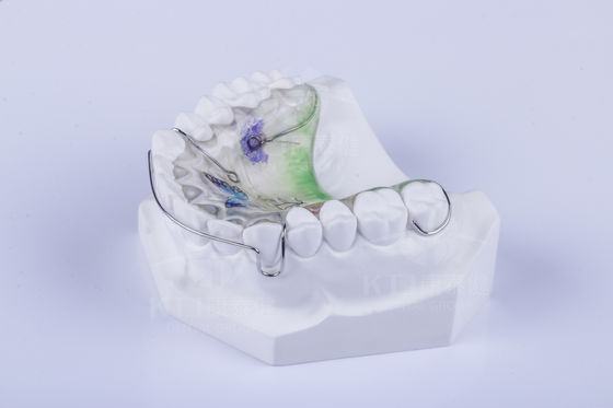 Riteniere Hawley personalizzato per raddrizzare i denti Dental Hawley Retainer FDA approvazione