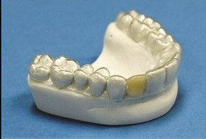 Dental Stable Dent Orthodontic Retainer Professionale Clear Retainer